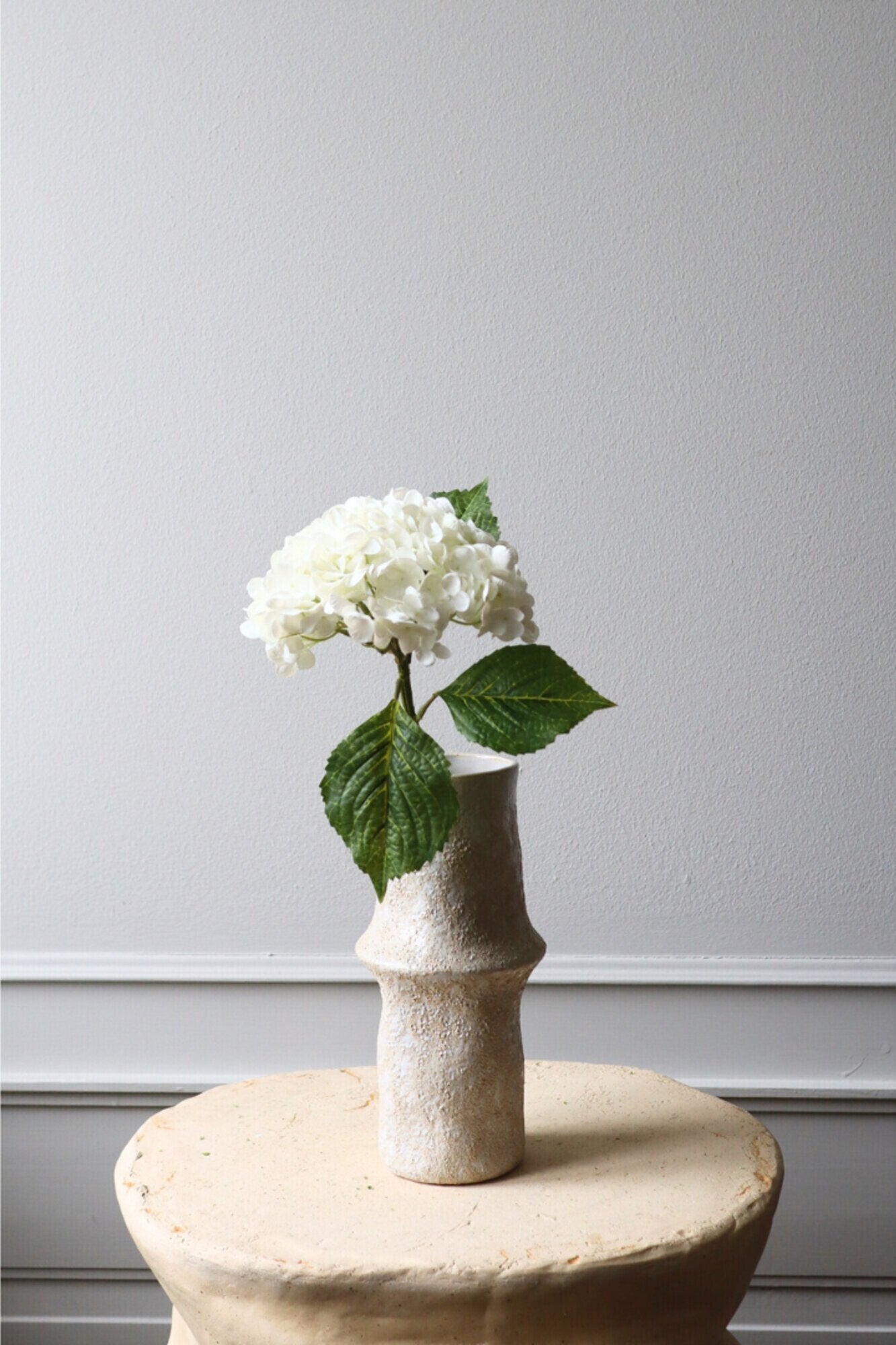 Hortensia blomst - hvid